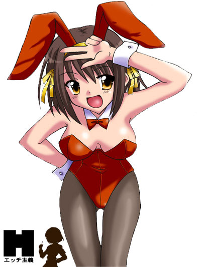 bunny haruhi.jpg